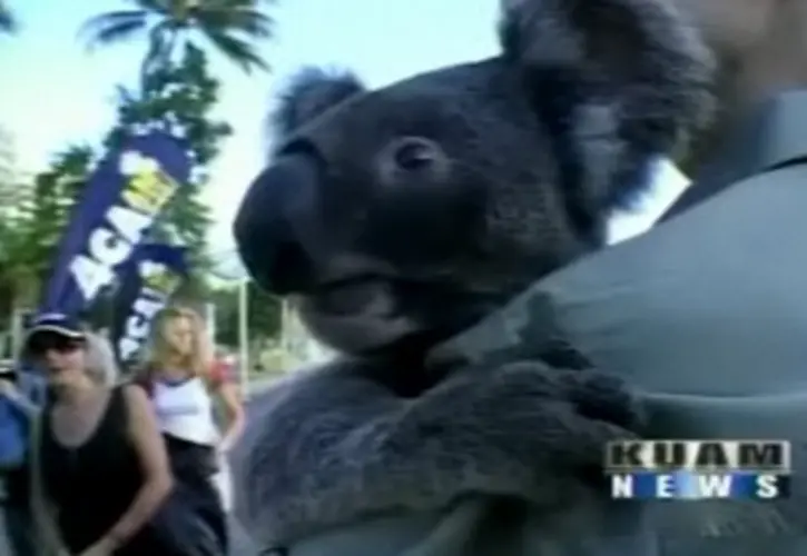 KUAM goes Down Under: Part 2