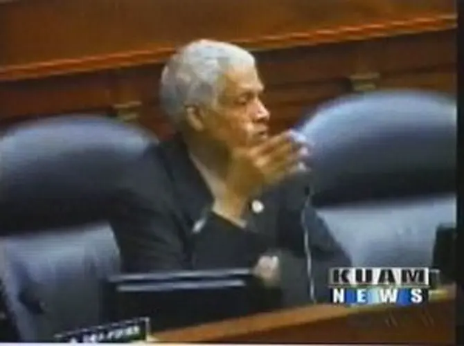 Delegate's "tip over" gaffe scrutinized