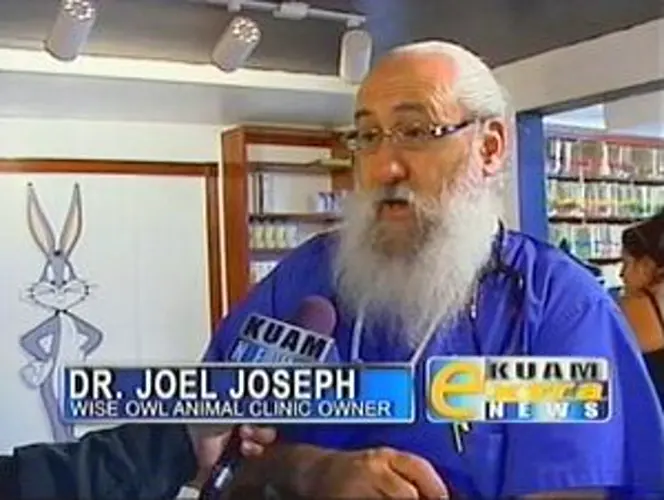 Frustrated veterinarian considers leaving Guam