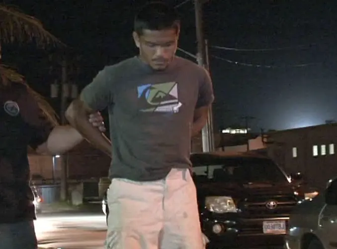 Stephen Borja sentenced for beating dogs on video
