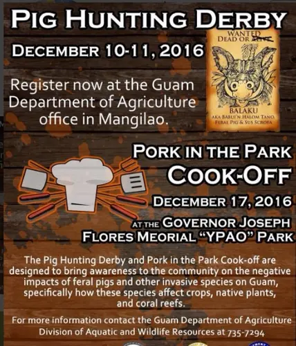 Island grillers prepare for 6th Pork in the Park Cook-Off