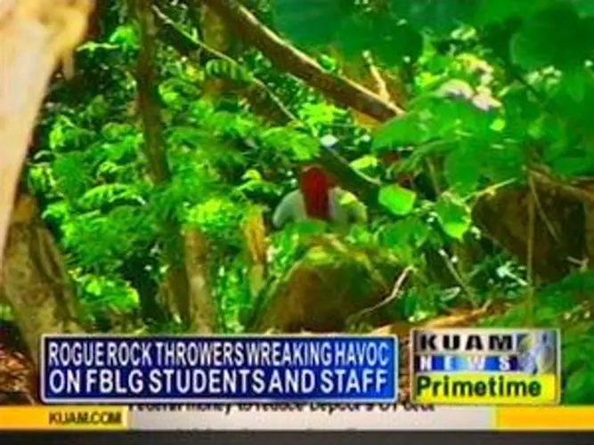 Rogue rock-throwers causing havoc
