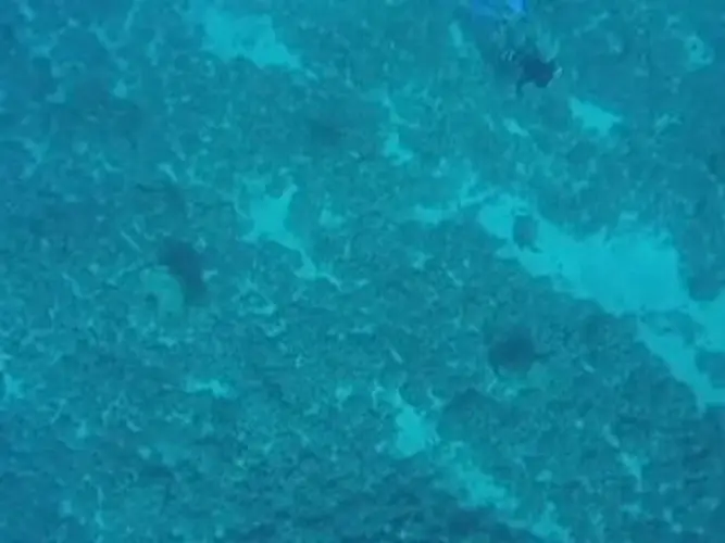 Navy wants your input on underseas training