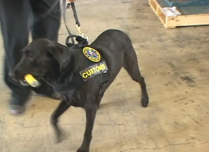 Section of animal park dedicated to heroic Customs service dog