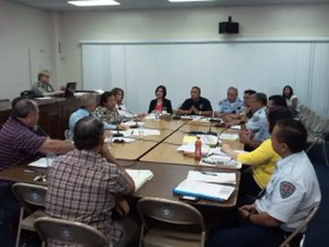 GFD's acting chief updates committee