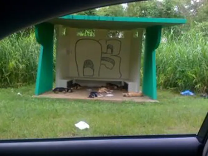 GPD notes stray dog problem