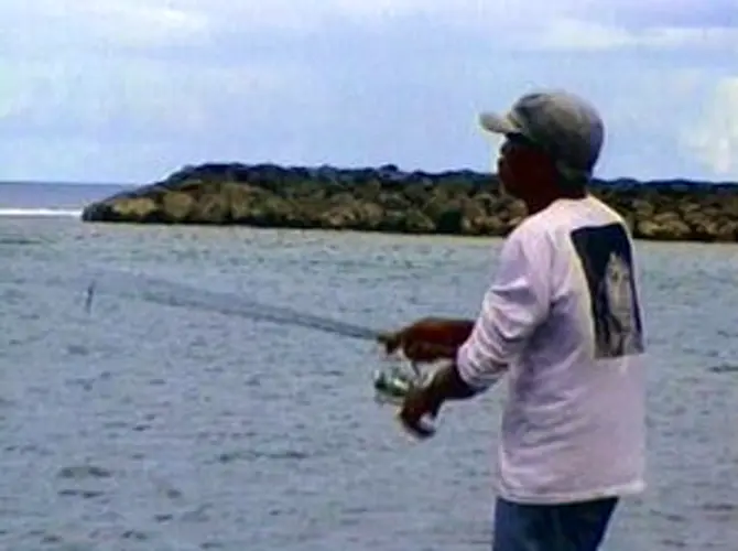 Catch limits imposed for US Pacific Islands