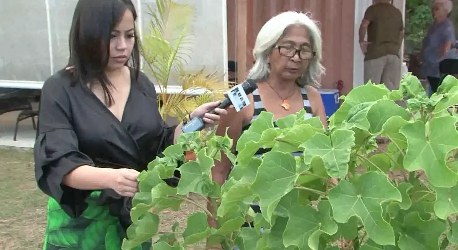 Silebra I Chamorro: the healing powers of the suruhana