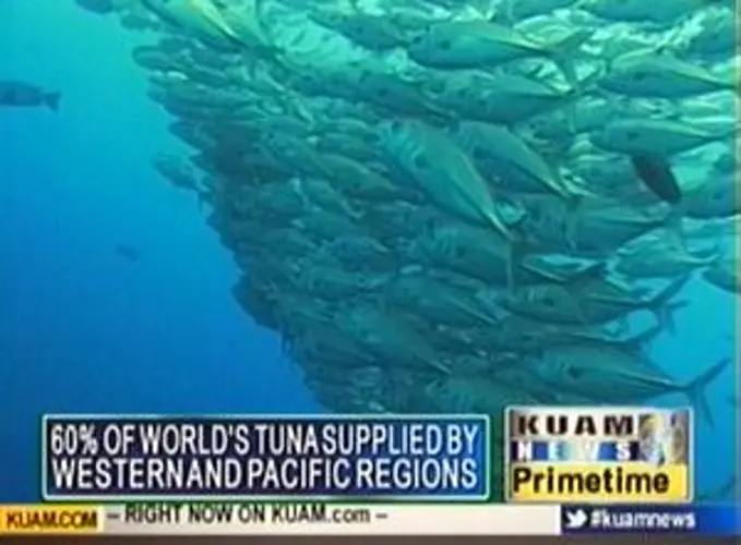Guam among first to protect sharks