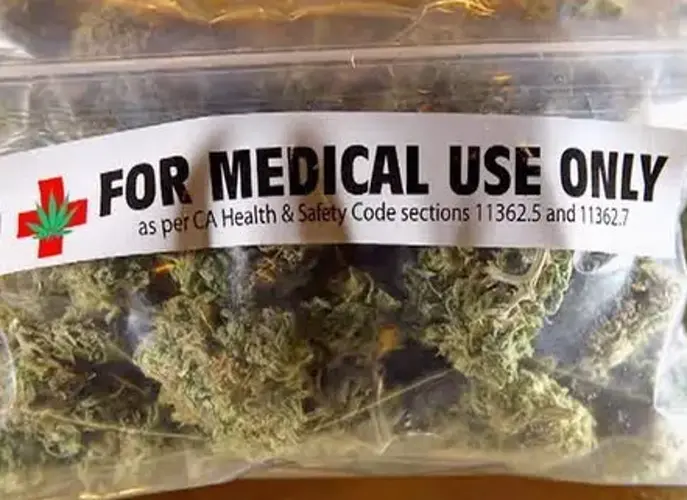 UOG forum discussing Medical Marijuana