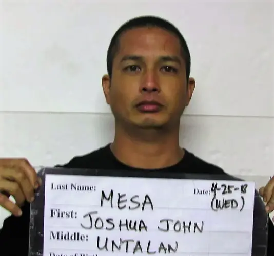 Court rules Joshua Mesa can stand trial in drug case