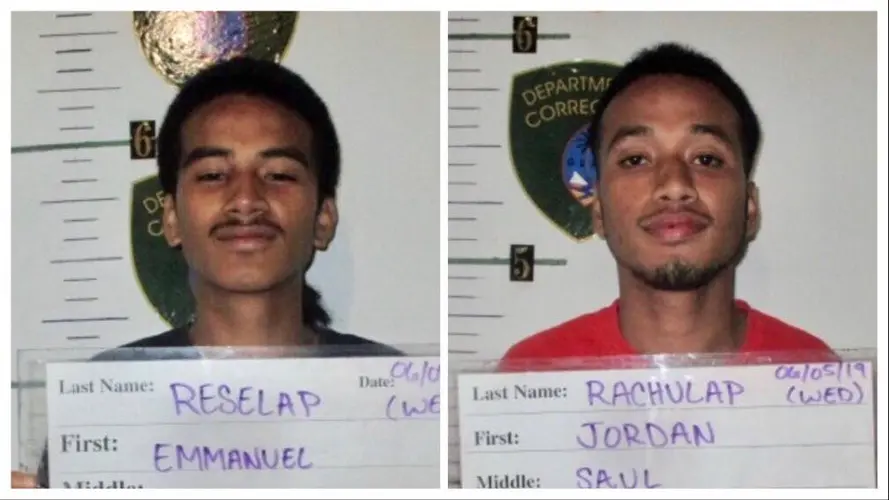 Brothers indicted on machete attack
