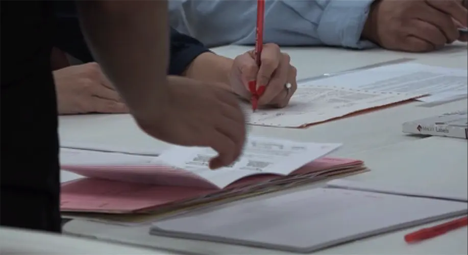 Curious inclusions inside election reform bill