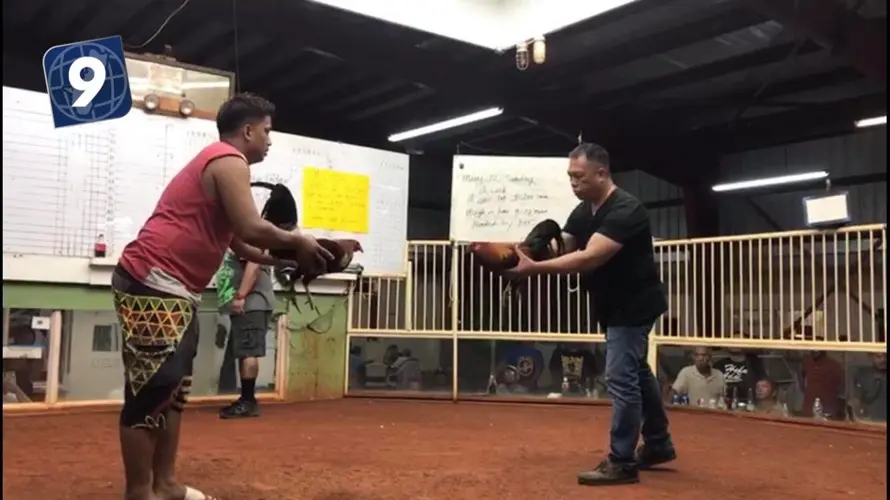 9. Ban on cockfighting