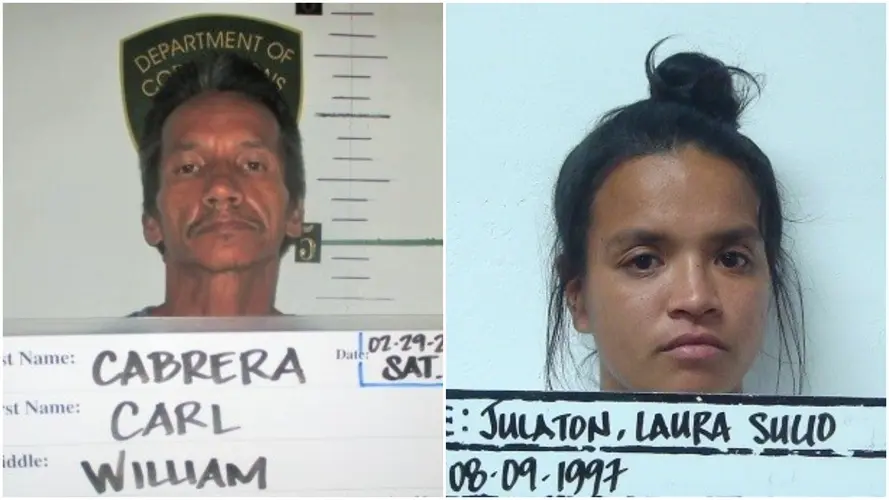 Bad license plate leads to arrest of 2