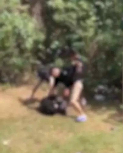 Haven French, 17, charged in beating, Tiyan High students expelled