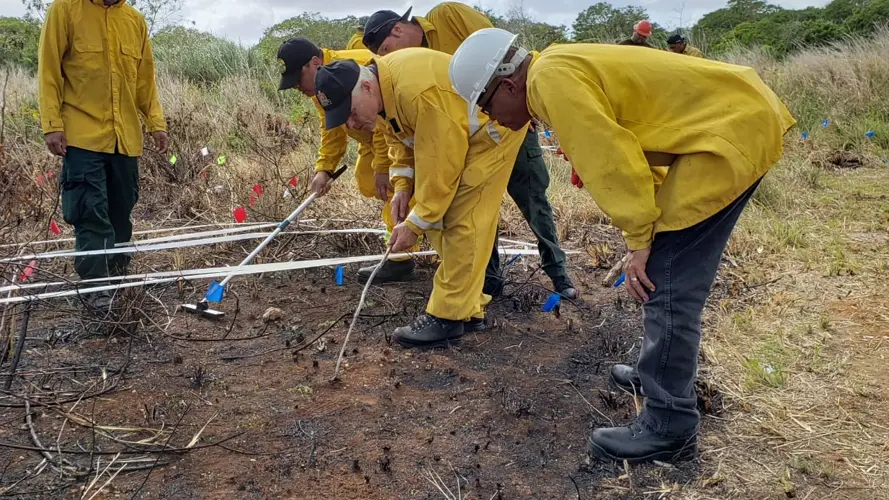 Fire investigators hit the field for training