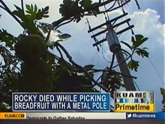 Family identifies electrocution victim