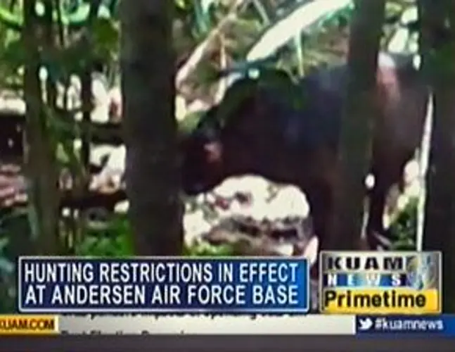 Hunting restrictions in effect at AAFB