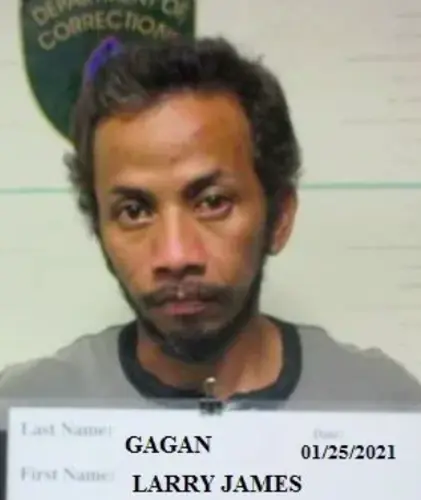 Larry Gagan pleads not guilty to murder