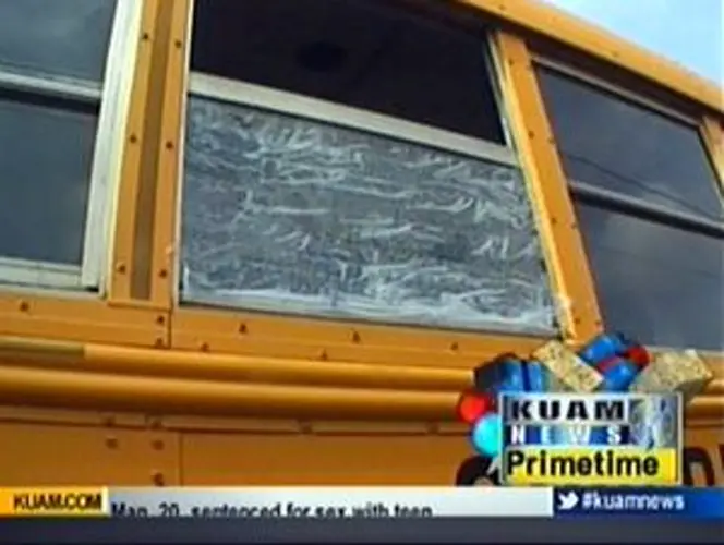 Vandals take aim at school buses with pellet guns