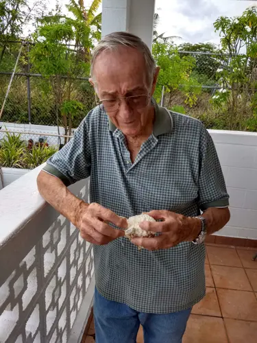 UOG receives private collection of coral specimens