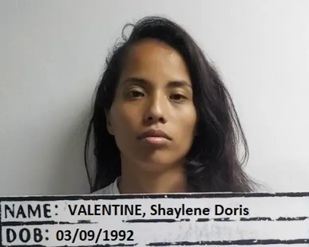 Woman on pretrial release charged facing charges in March terrorizing incident