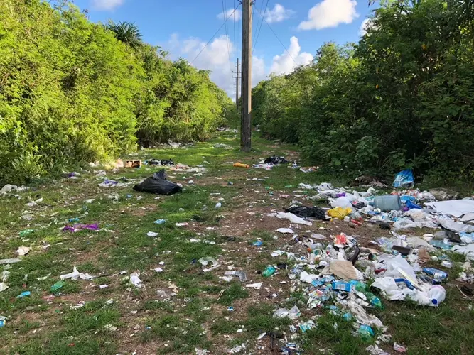 Offenders could have to clean up with revised littering, illegal dumping plan