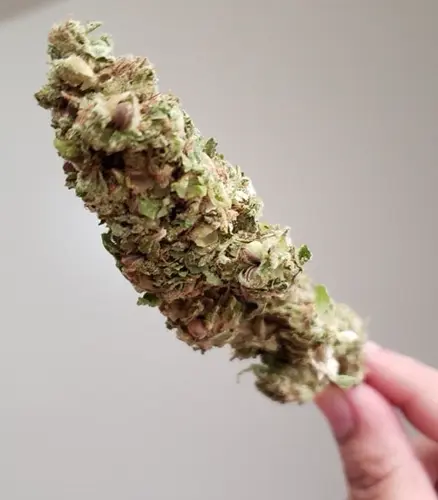 Cannabis board to review rules and regs changes before AG approval
