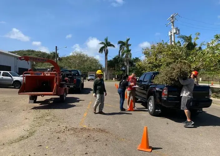Department of Agriculture lets you dispose of your Christmas trees safely