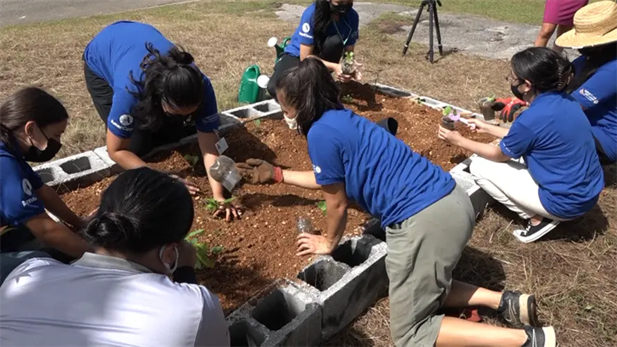 Guma San Jose adds community garden to commemorate MLK Day