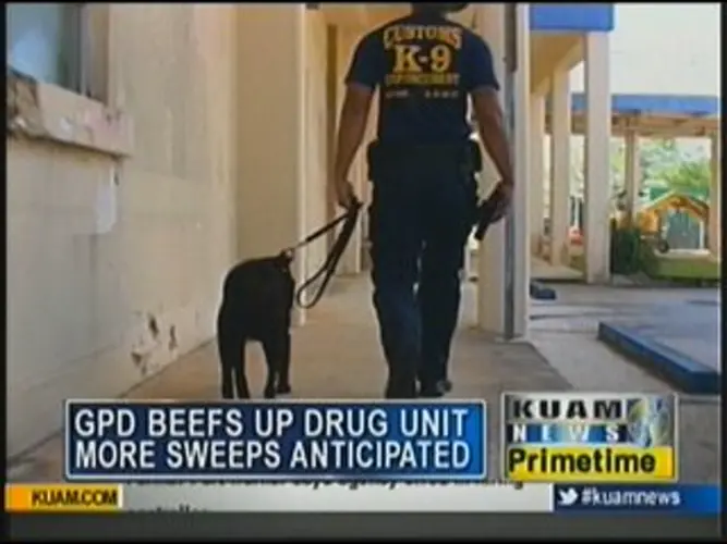 GPD/Customs sweep police facilities for drugs