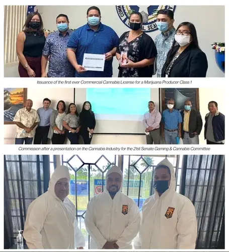 CNMI's cannabis industry reaching new highs