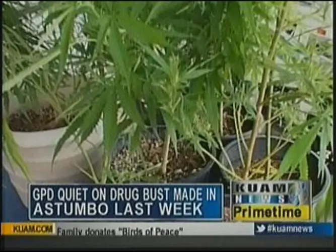 GPD quiet about Astumbo drug bust