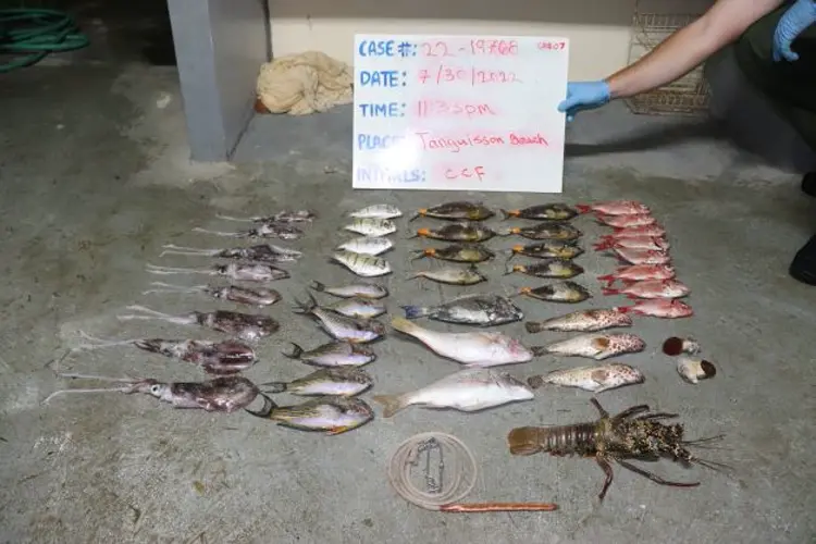Four arrested for fishing in marine preserve