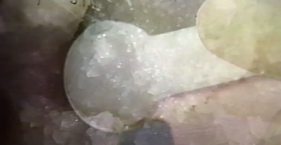More than 20 lbs of meth seized by feds