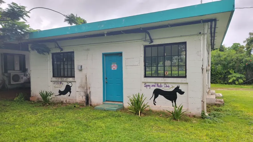 Animal neutering program returns to GAIN's Yigo animal shelter