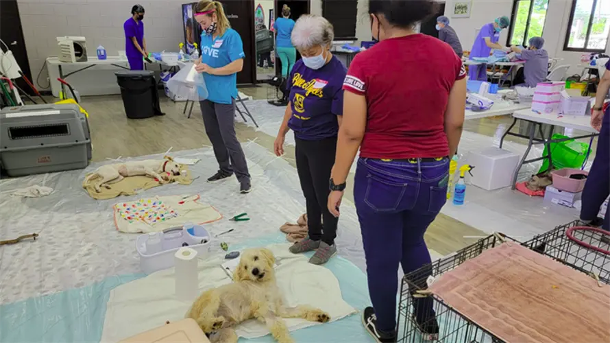 SNIP program partnerships aim to offer more access to pet spay and neuter