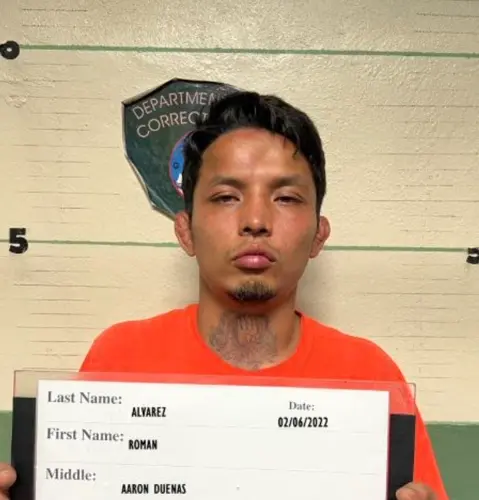Former MMA fighter could cut   deal in attempted murder case
