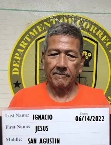 Felon headed to federal prison for gun possession