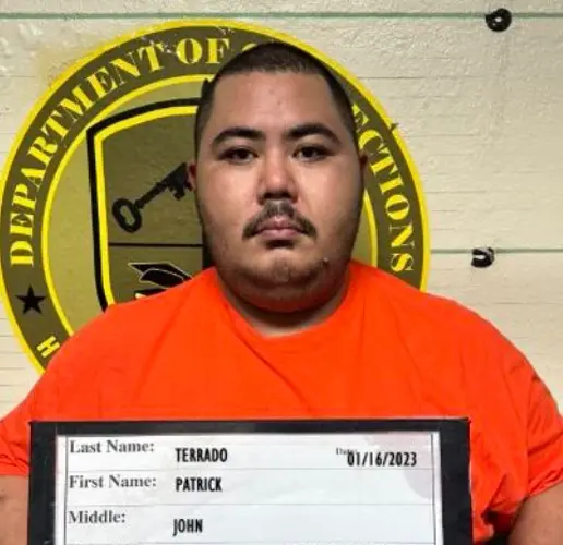 Driver denies owning gun and drugs found in his car