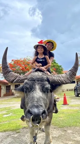 Late carabao's caretaker discusses life after Do'ak