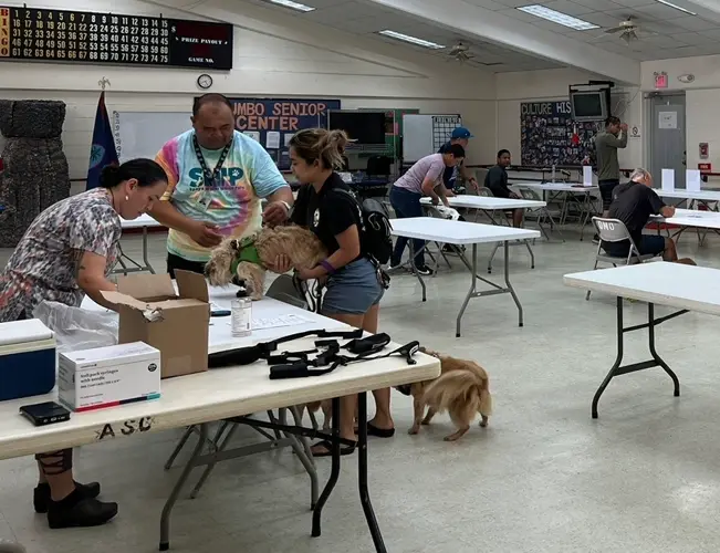 Pet outreach, SNIP clinic set for February