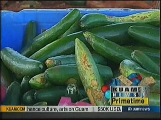 USDA offers Value Producer Grant for farmers