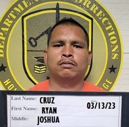 Foster parent accused of molesting child