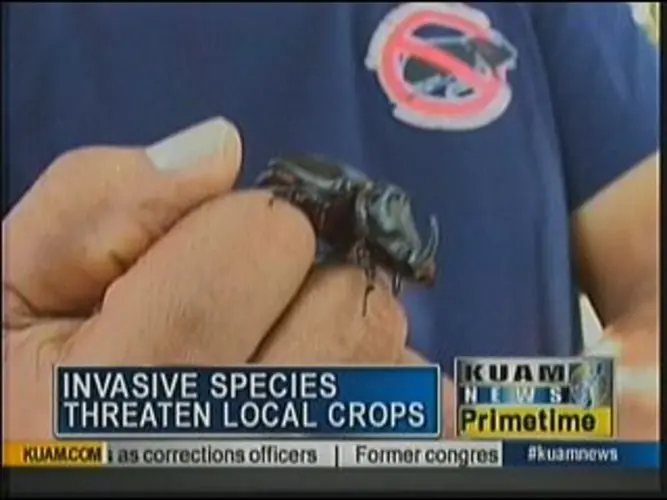 Invasive species threaten local crops
