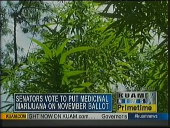 Voters will determine fate of medicinal marijuana