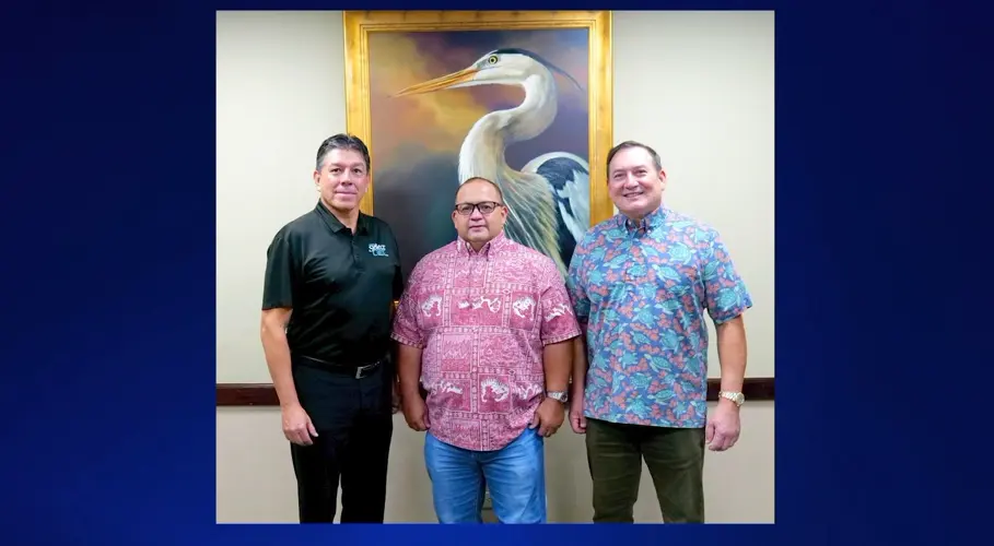 Calvo Enterprises to acquire Tokio Marine Pacific Insurance