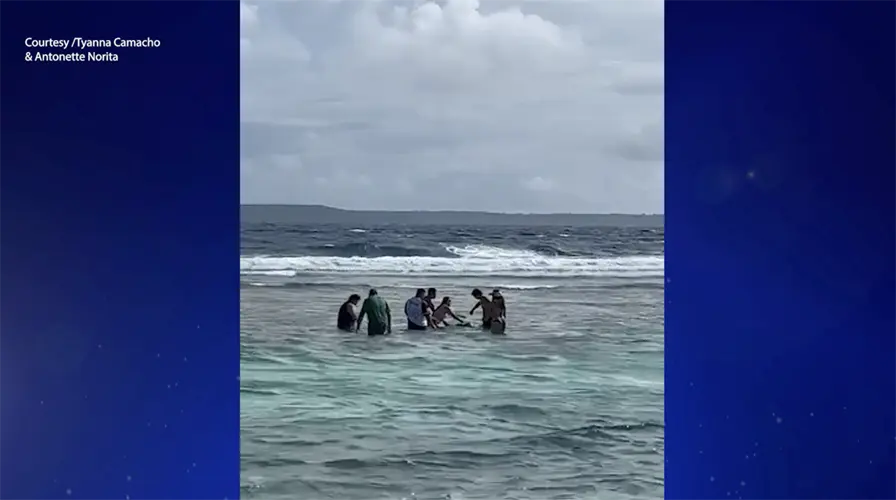 Saipan family rescues critically endangered turtle trapped in fishing net