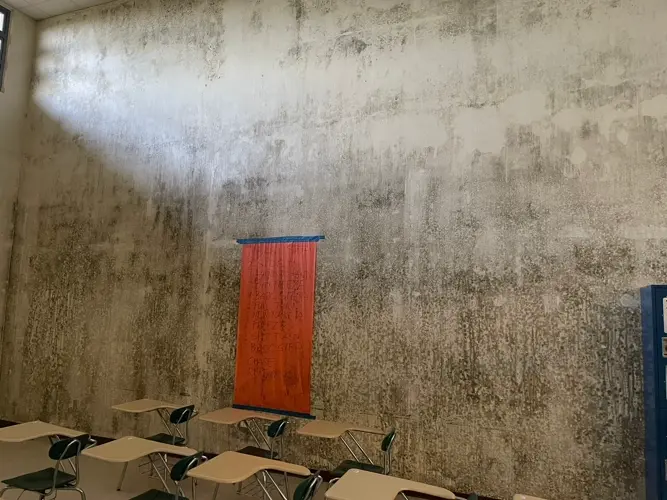 Mold mitigation to be addressed as schools set to open Aug. 23